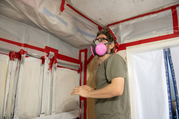 Best Residential Mold Inspection & Testing  in Willow Grove, TX